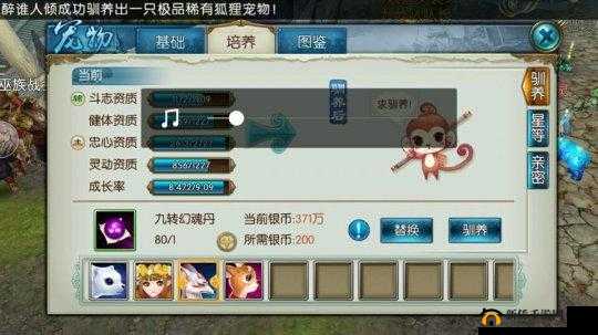 诛仙手游稀有黄鸟,捕捉攻略与刷新解析