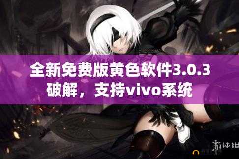 3.0.3 免费 vivo 版破解大全：涵盖众多实用破解资源