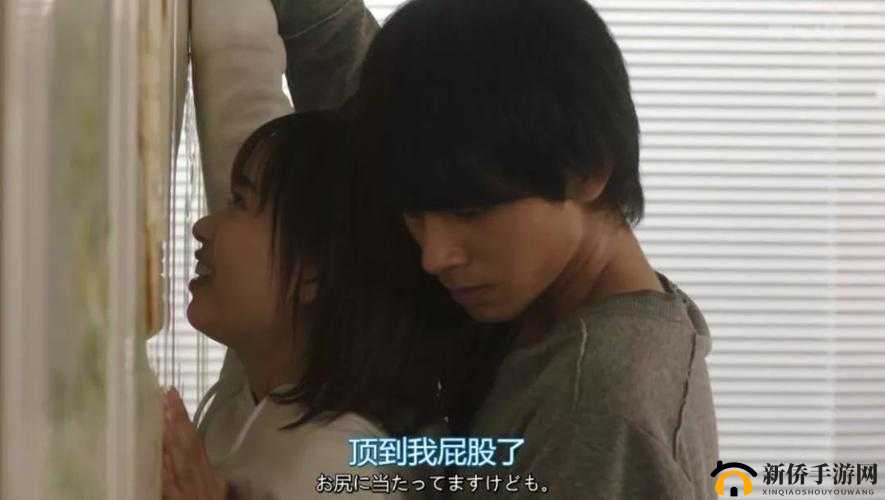 在线播放成年人视频,提供成年人视频观看