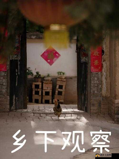 我与乡下誘歼小 Y 头:一段不为人知的隐秘经历
