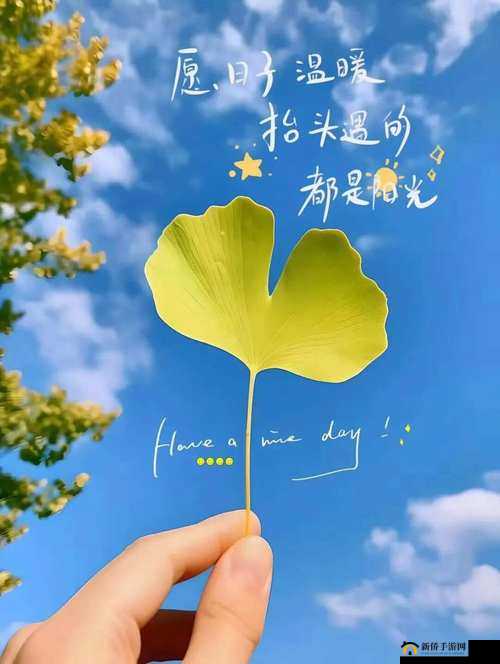 那幅充满感性的图片:触动心灵的美好瞬间