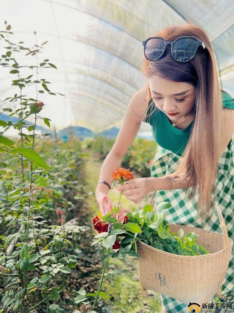 摘花处破女出血 69XX:探讨性与轮理的边界