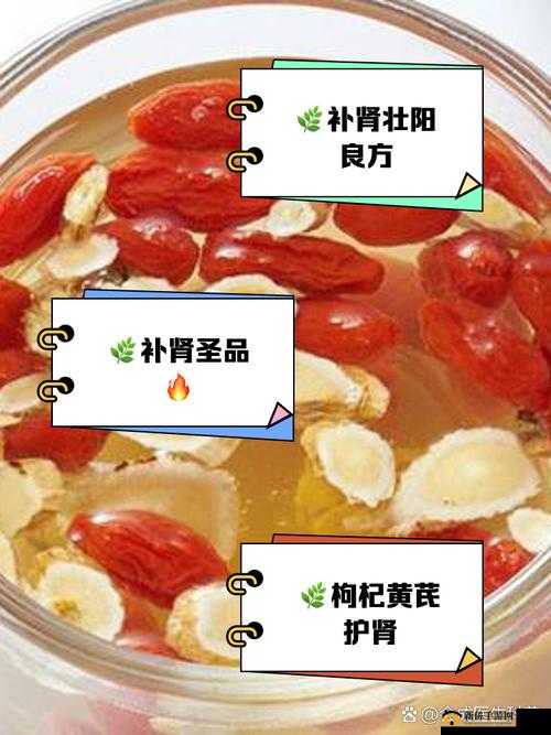 枸杞喝多久壮阳:探寻其增强男性机能的时效奥秘
