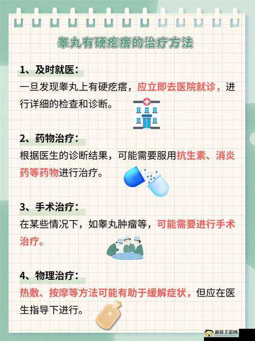 蛋蛋立了长什么样?这个问题困扰着很多人