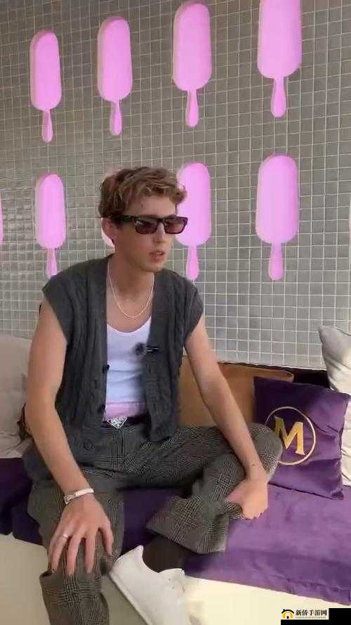 你是我的命中注定:戳爷 Troye Sivanfor him.MV 中的经典台词