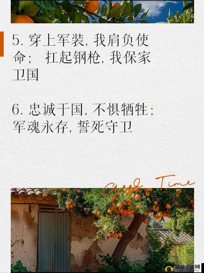 儿挺钢枪一起来,今天我十八岁,热血青春,激情飞扬
