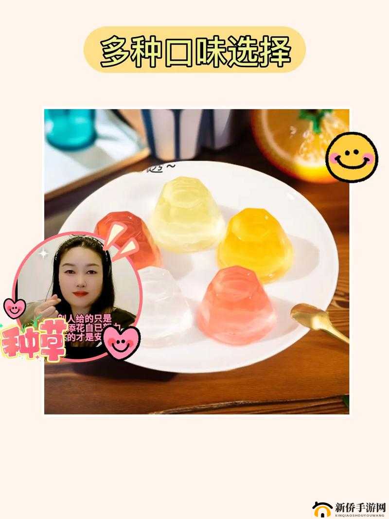 9i 果冻制作厂:传承经典,打造美味果冻