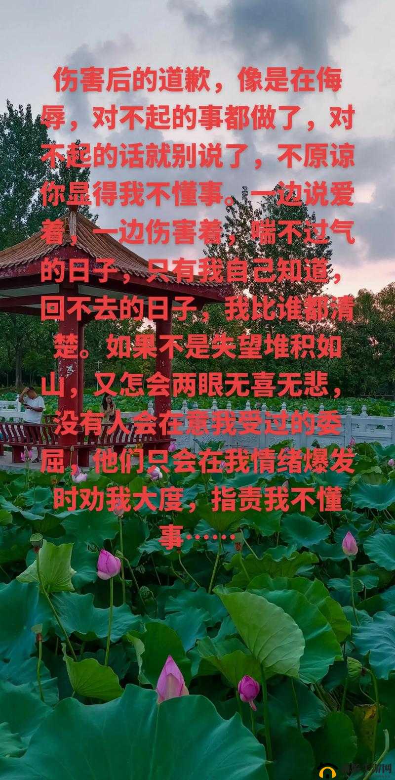 对不起原谅我的对公:真心诚意祈求您的宽宏大量