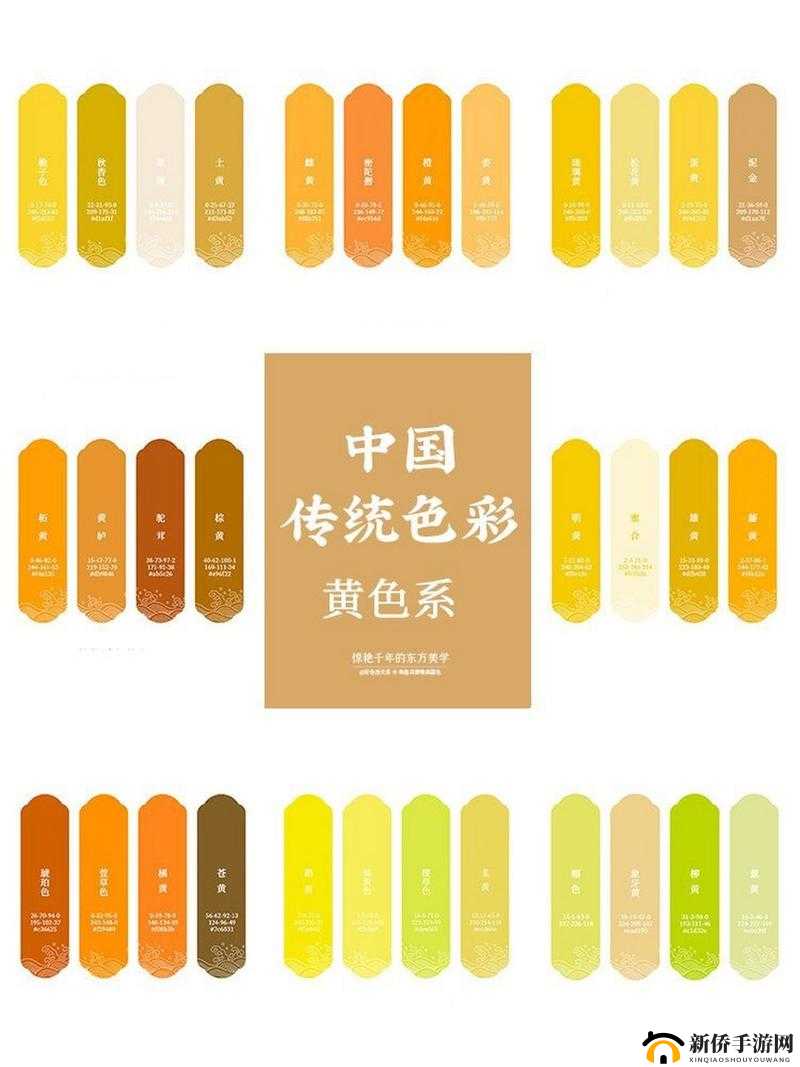 中国一级璜铯相关内容的独特阐释与探讨