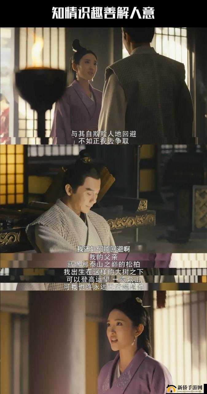 军师联盟,策略与武将的辉煌交响