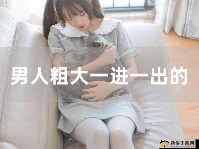 大肉大捧一进一出视频震撼来袭