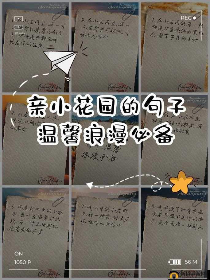 让我亲亲你的花园吧——开启一场浪漫的花园之旅