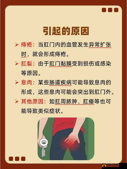 肛门口有个肉球突出是怎么回事:可能的原因与应对措施