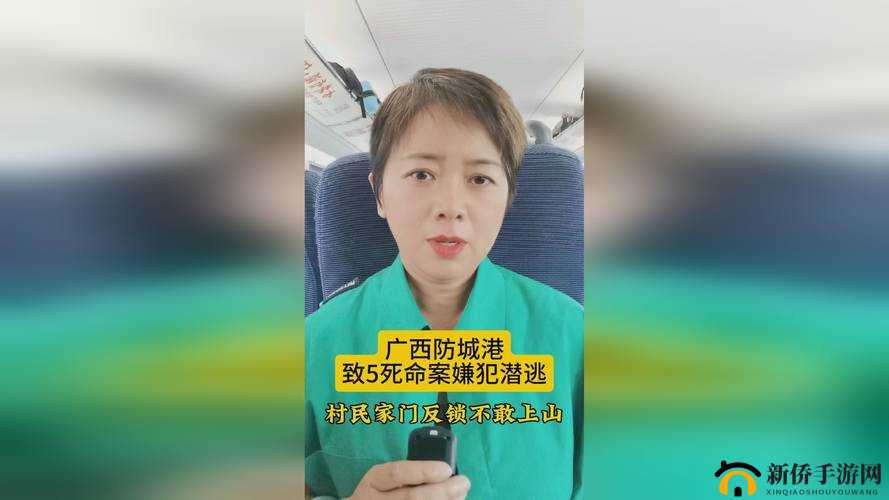 91 精产国品一二三产区蜜殿:成年人领域的精彩之作