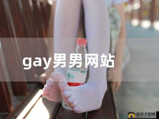 中国男同 GaY 网站 www:探寻同志文化与情感的世界