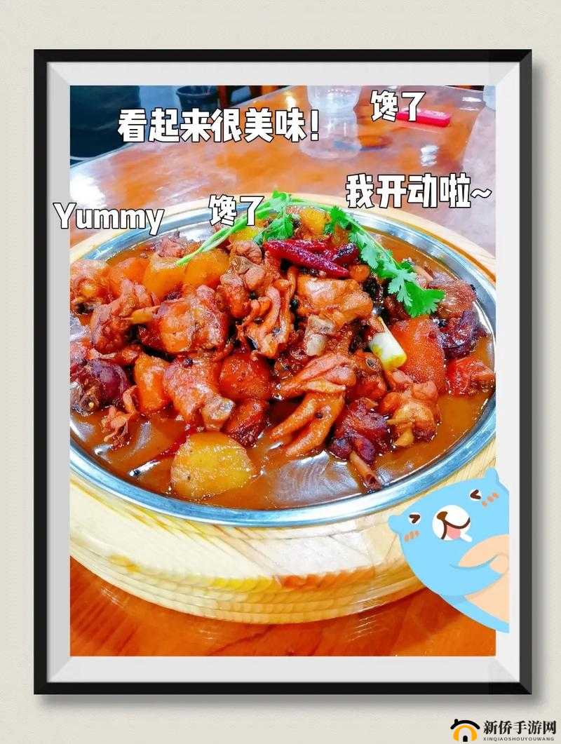 大盘鸡大菠萝的百度百科:详细解读其背后的奥秘