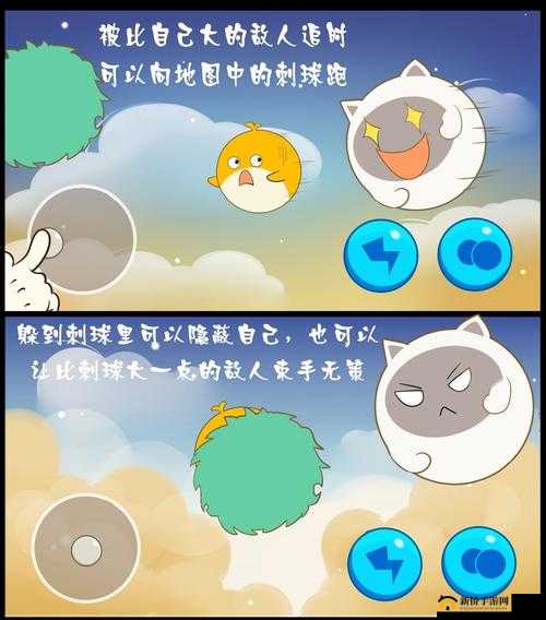 欢乐球吃球刺球有什么用?合理利用刺球有奇效