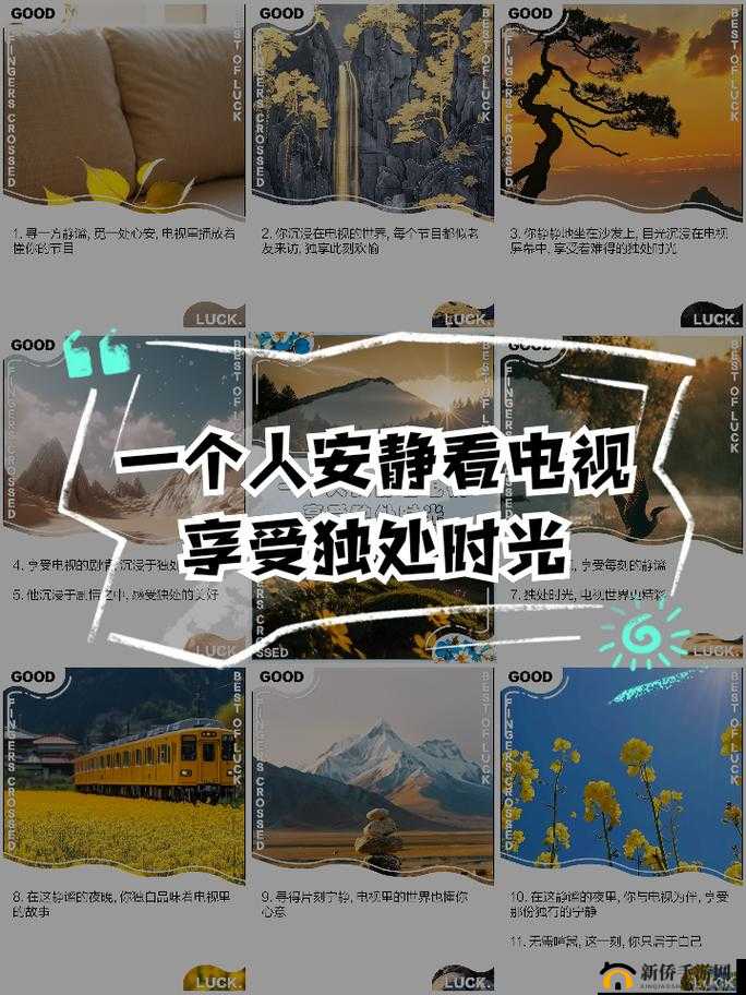 适合一个人看的电视：让独处时光充满精彩的绝佳选择