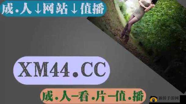 无人区码一码二码 w358cc：探索未知的神秘领域