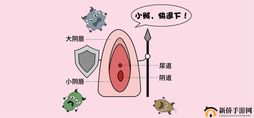 女士阴脣的正常样子及相关特征探讨