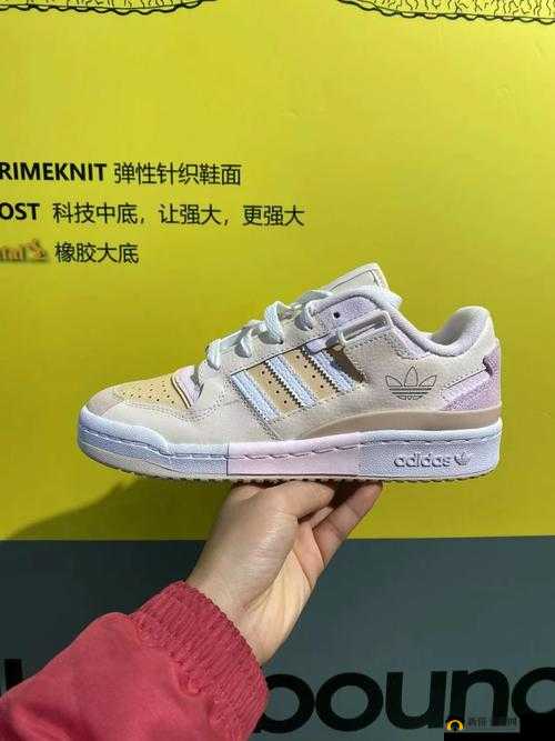 三叶草 gw9356：踏上奇幻冒险之旅