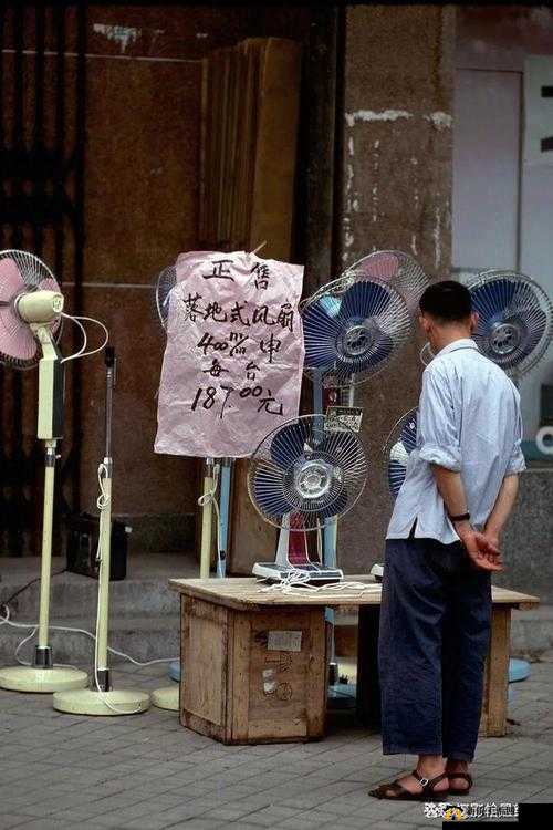 苏语棠的主要作品 80 年代：那个时代的经典影视回顾与解析