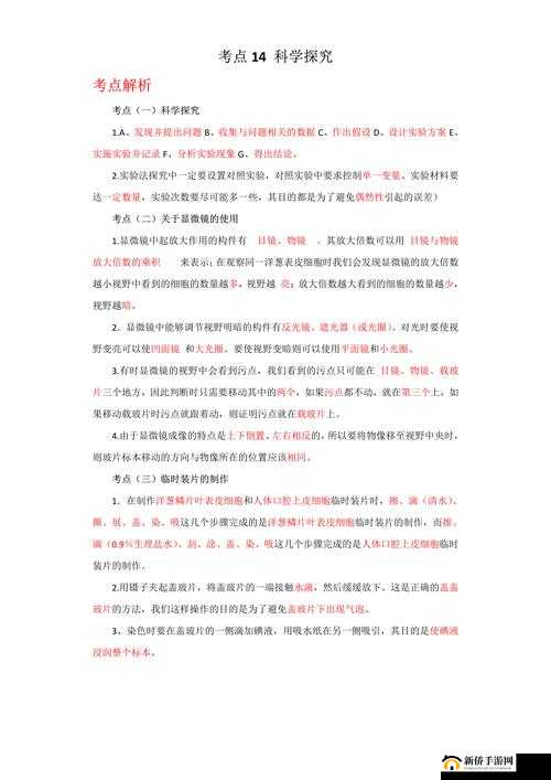 往下面放什么像舌头的东西：对其进行深入探究与分析