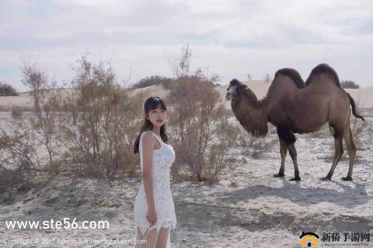 越南女 RAPPERDISS 苗族：少数民族文化与现代音乐的碰撞