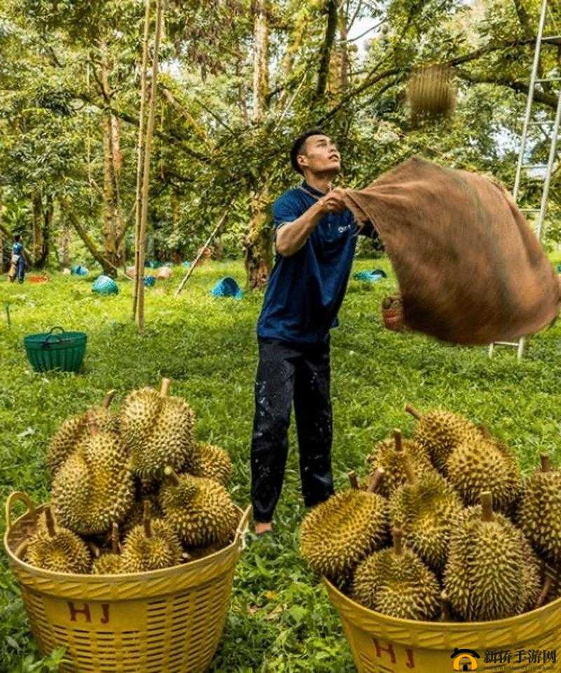 榴莲视频色斑：让你流连忘返的独特魅力