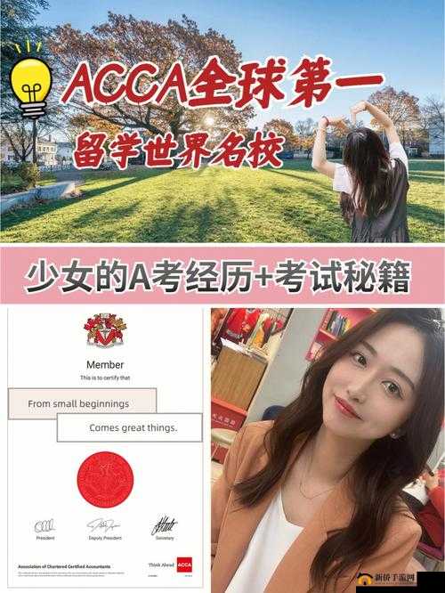 ACCA 少女 SDANVI：关于她的精彩故事与独特魅力展现