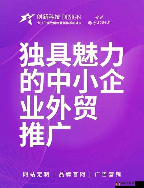 国外黄冈网站推广软件高效推广秘籍分享