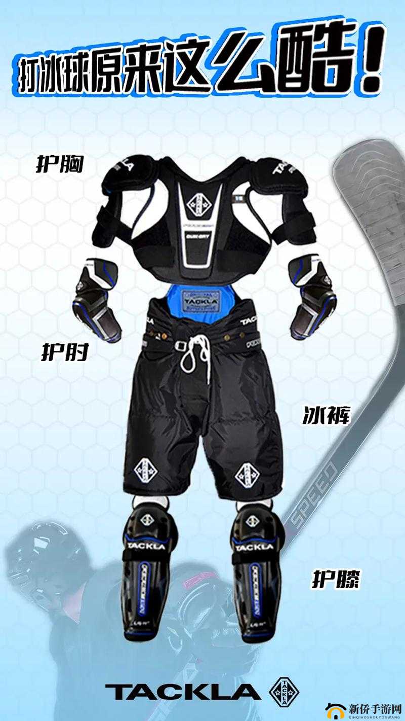 冰球插件Play ：助力冰球爱好者提升竞技水平的神器