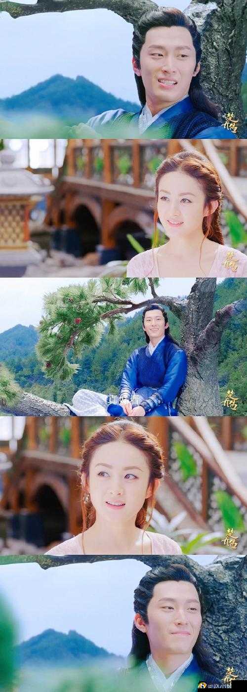 特工皇妃楚乔传,武将提升技巧大揭秘