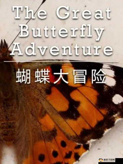 看精彩大片,就上蝴蝶传媒每天免费一次无限制版