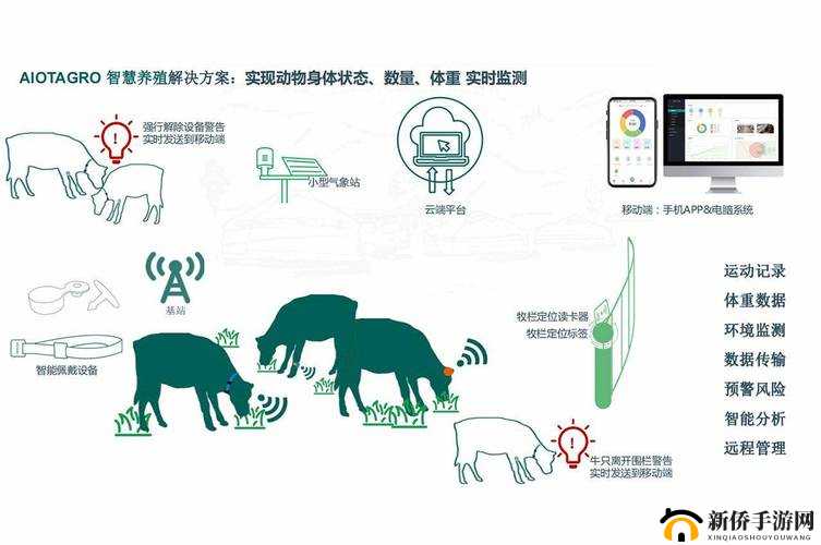 人与畜禽的合作关系：共同创造可持续发展的未来