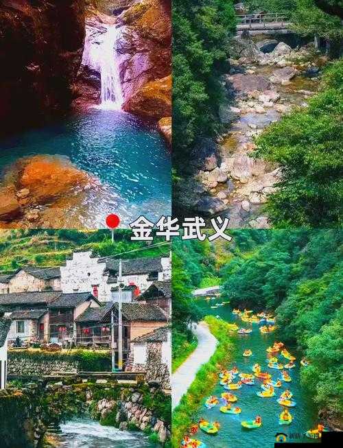 强烈伊春园 2023 入口直达大象：带你开启奇妙之旅