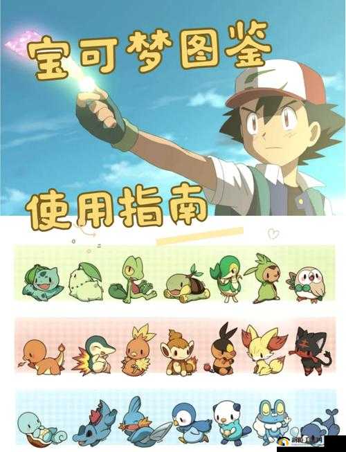口袋妖怪日月精灵,探索与解析