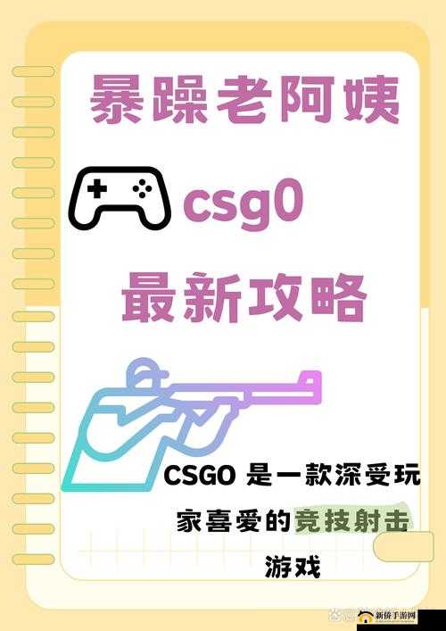 暴躁老阿姨如何玩转 CSGO 最新版本:新手也能快速上手的技巧指南