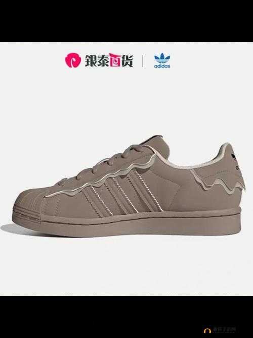 三叶草 gw5856：探索其独特魅力与无限可能的旅程