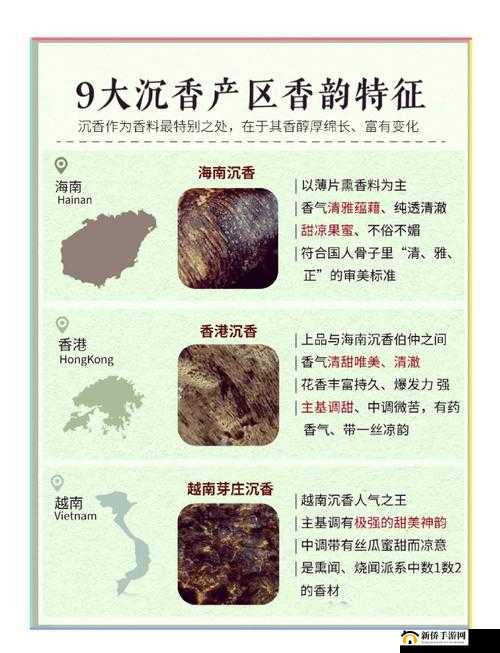 探秘精品产区 WNW2544:开启神秘之旅