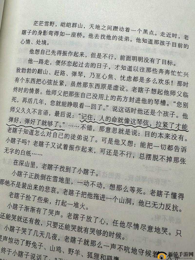 公交车里抓着摇曳的手环诗情:在摇晃中感受生活的节奏