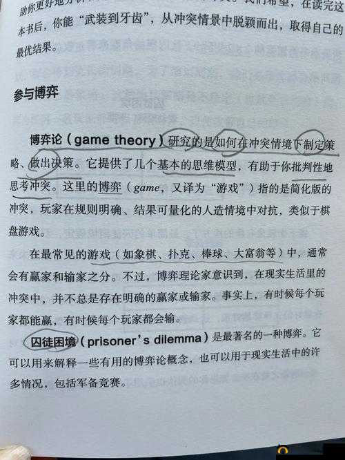 持续一周的 sp 惩罚期内容要求-深度剖析与应对策略