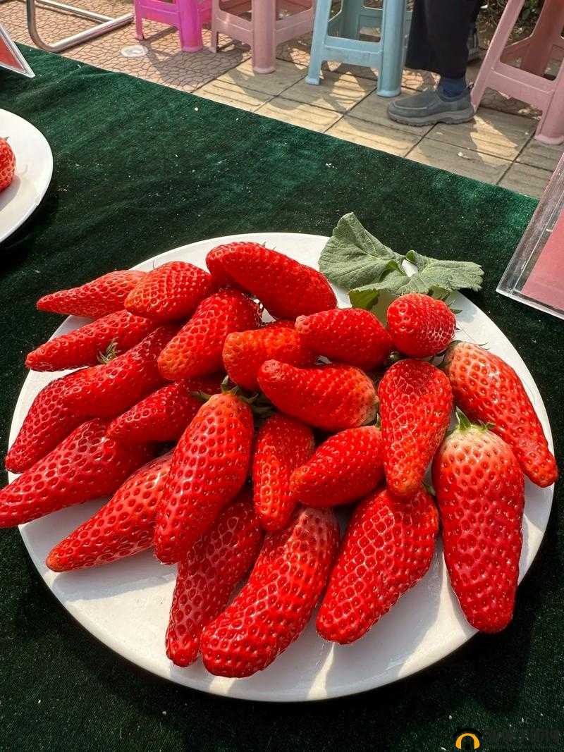 水果盛宴:草莓、香蕉、榴莲与丝瓜的奇妙组合