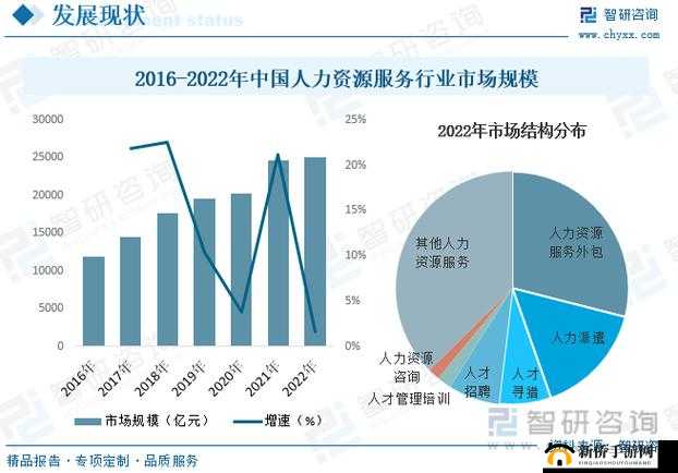 久久人力资源与普通版对比：优势凸显与差异呈现