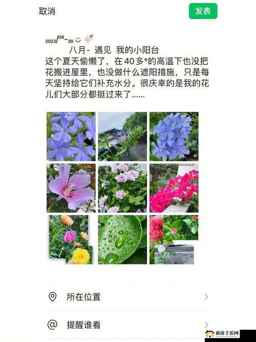 老公亲我的小花园最火的一句被爆料日本频道:用户至上,完全免费畅享精彩内容