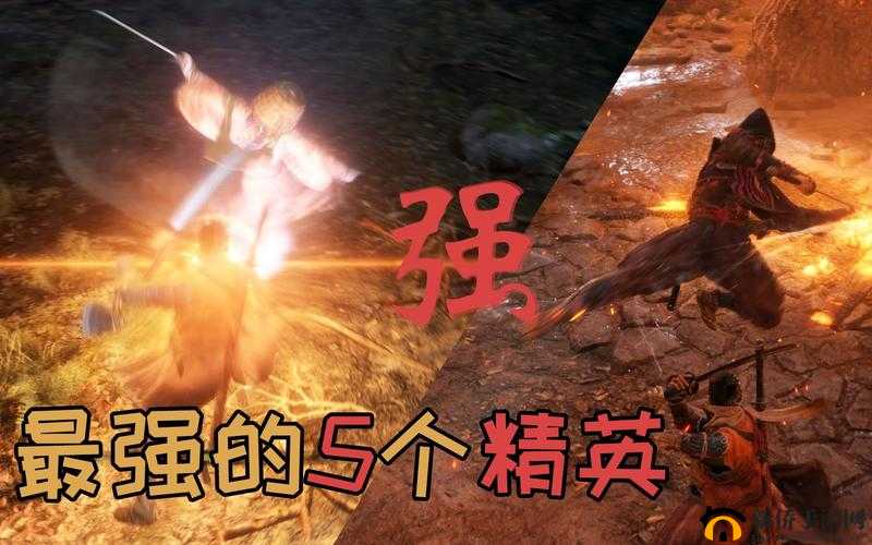 只狼精英怪实力排名全揭秘：各精英怪实力强弱大比拼