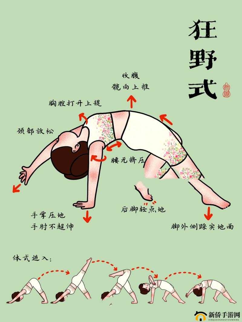 两种进入狂野式的方法已破解：瑜伽爱好者必备秘籍