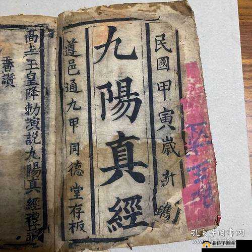 九阳神功领地战，揭秘战术秘本，称霸武林之巅