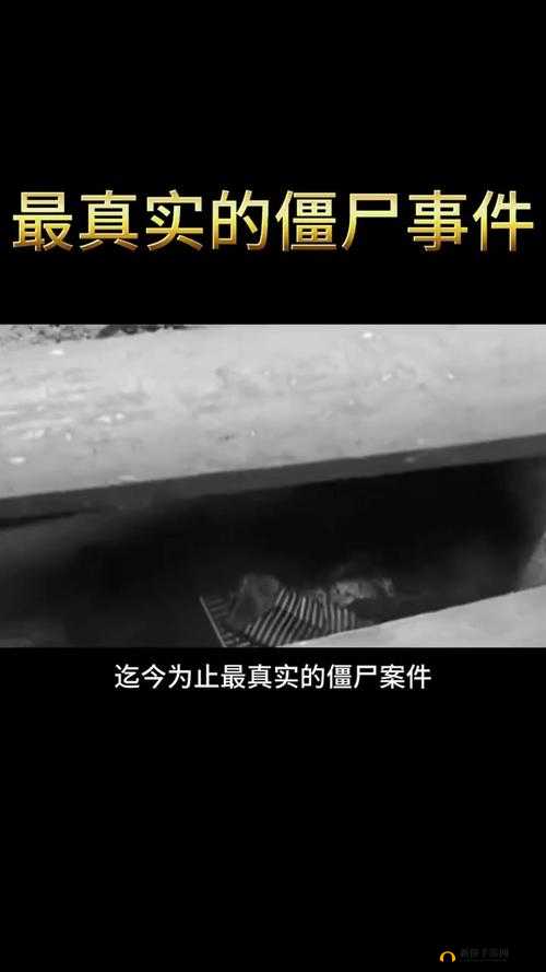海角绿帽大神在线观看:独特视角揭秘神秘事件