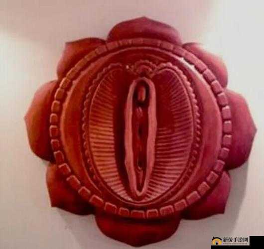 肉莲花吸入金刚杵会怎么样:探究其背后的神秘影响